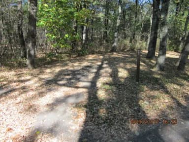 Loft Mountain Campground - Site B84
