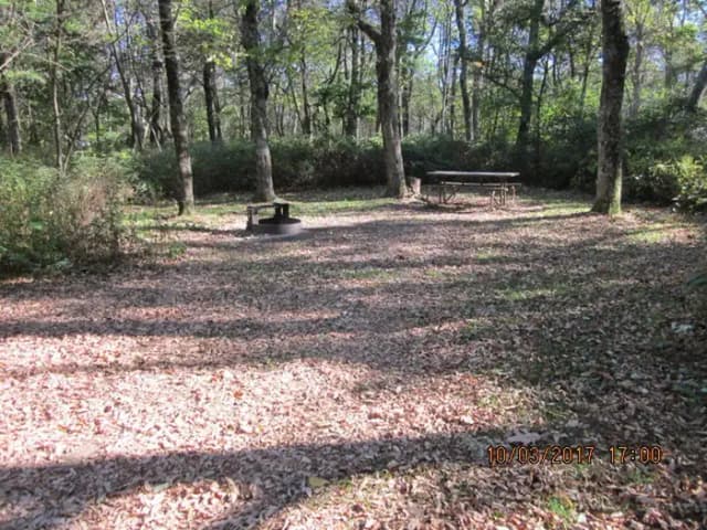 Loft Mountain Campground Site B86