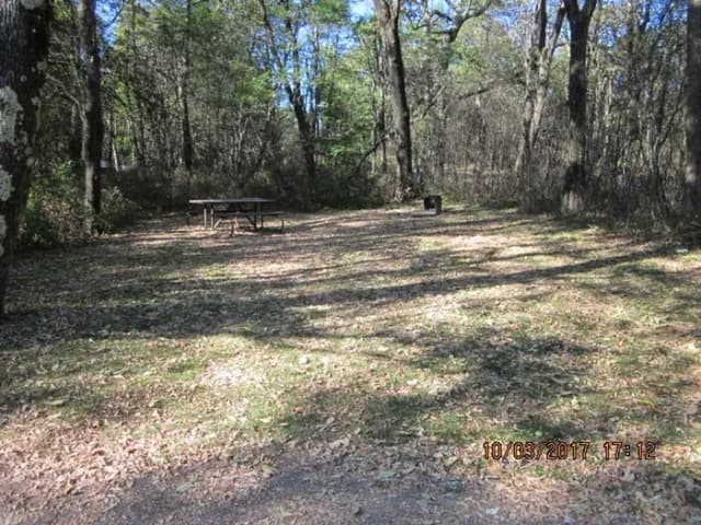 Loft Mountain Campground Site B86