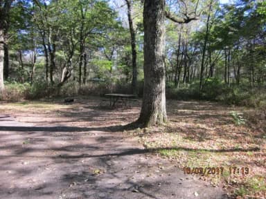 Loft Mountain Campground Site B87