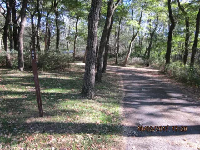 Loft Mountain Campground - Site B88