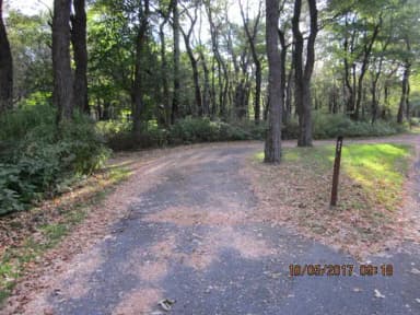 Loft Mountain Campground - Site B89
