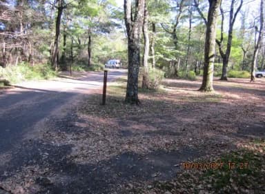 Loft Mountain Campground - Site B90