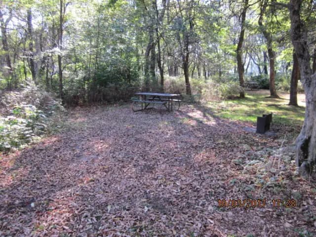 Loft Mountain Campground Site B90