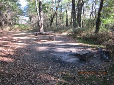 Loft Mountain Campground Site B91