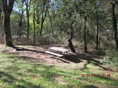 Loft Mountain Campground Site C94