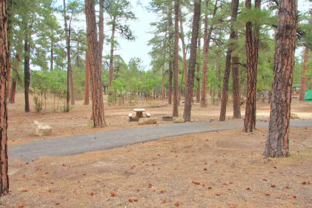Parking spot, fire pit, and picnic table, Mather Campground