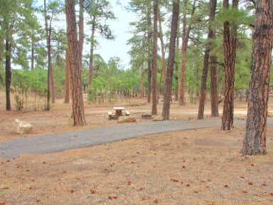 Parking spot, fire pit, and picnic table, Mather Campground