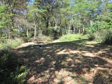 Loft Mountain Campground Site C95
