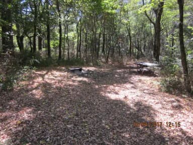 Loft Mountain Campground Site C96