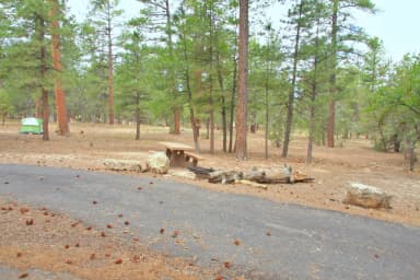Picnic table, fire pit, and parking spot, Mather Campground