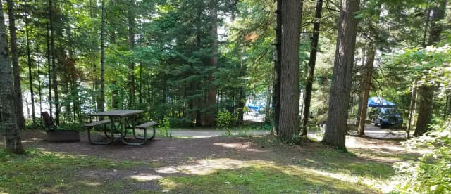 Site #6