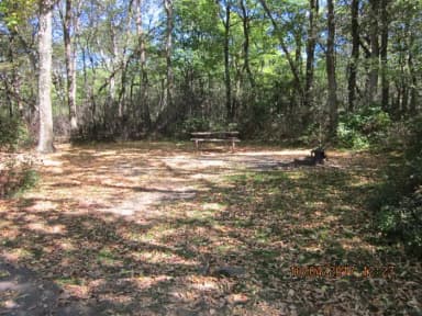 Loft Mountain Campground Site C98