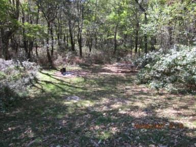 Loft Mountain Campground Site 100