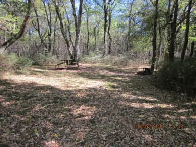 Loft Mountain Campground Site C101