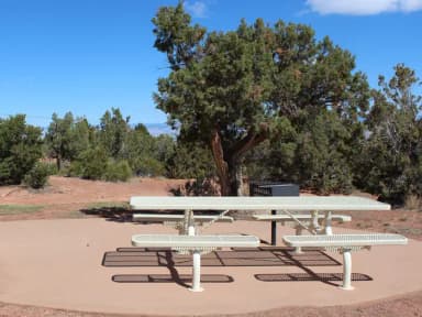 Accessible picnic table and charcoal grill on a concrete pad at Loop A, Site 5, shaded by a juniper tree with surrounding desert vegetation