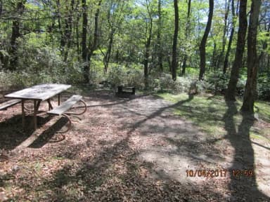 Loft Mountain Campground Site C104