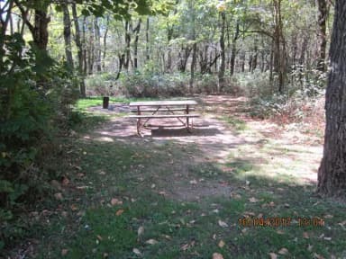 Loft Mountain Campground Site C105
