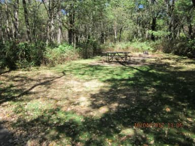 Loft Mountain Campground Site C106