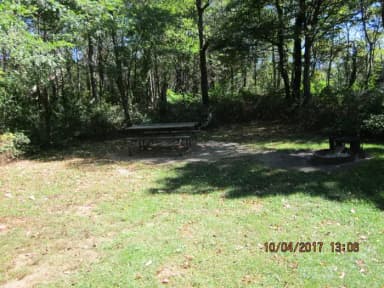 Loft Mountain Campground Site C107