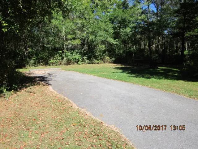 Loft Mountain Campground - Site C107
