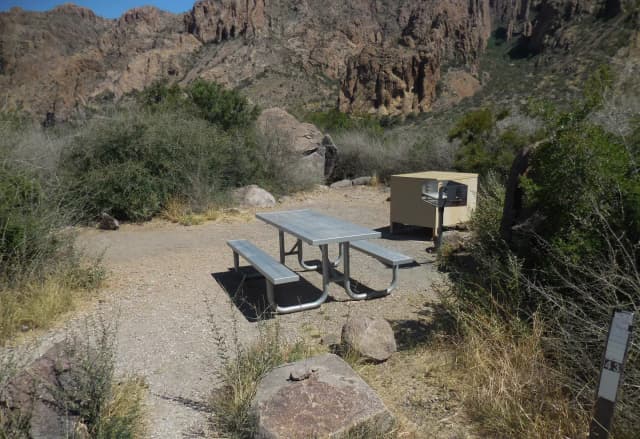 Campsite 43
