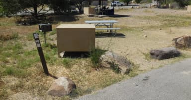 Campsite 44