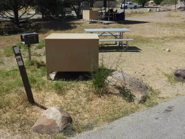 Campsite 44