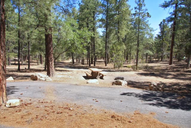 Parking spot, fire pit, and picnic table, Mather Campground