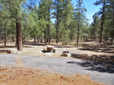 Parking spot, fire pit, and picnic table, Mather Campground