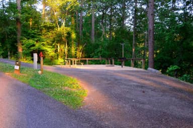 Sweetwater Campground, campsite 11