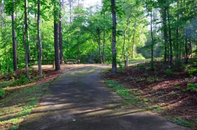Sweetwater Campground, campsite 15