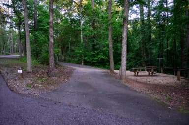Sweetwater Campground, campsite 19