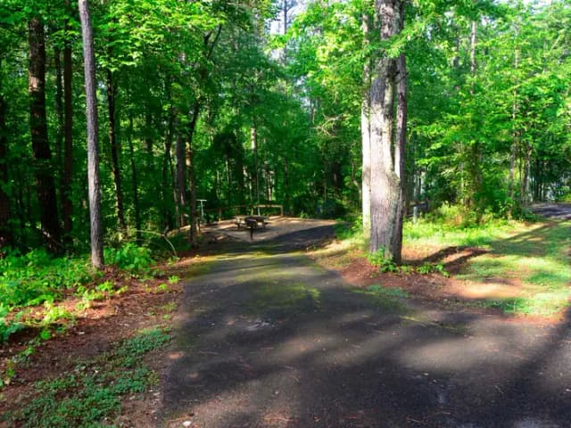 Sweetwater Campground, campsite 20