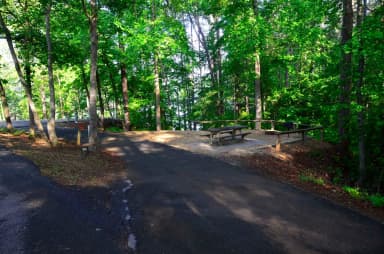 Sweetwater Campground, campsite 24
