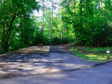 Sweetwater Campground, campsite 29