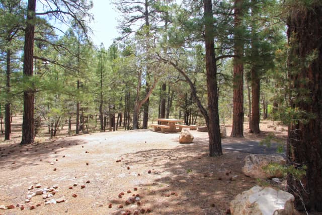 Parking spot, fire pit, and picnic table, Mather Campground