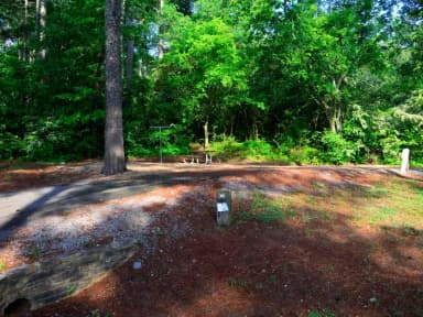 Sweetwater Campground, campsite #51.