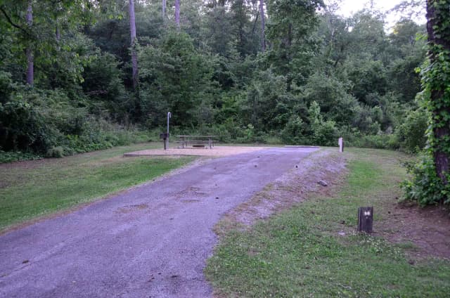 Sweetwater Campground, campsite #58.