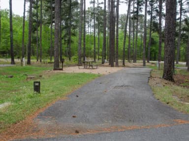 Sweetwater Campground, campsite #62.