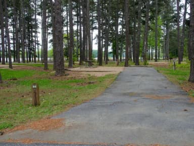 Sweetwater Campground, campsite #64.