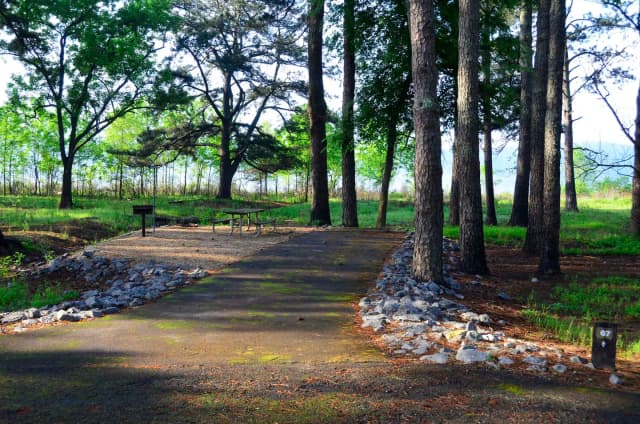 Sweetwater Campground, campsite #67.