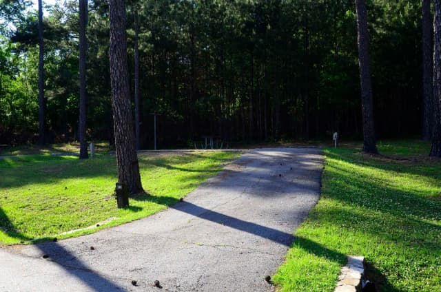 Sweetwater Campground, campsite #81.