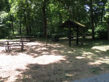 Double Campsite 40 showing two picnic tables, lantern post, food shelter and fire ring.