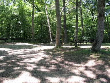 Group campsite 1 showing tables, fire ring and grill.