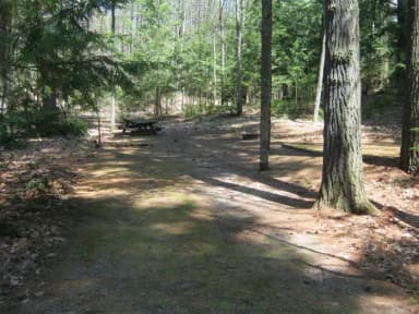 Campsite 1