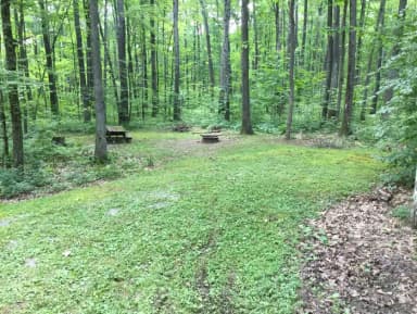 Tracy Ridge Site 1
