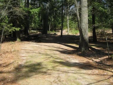 Laurel CG · Site 003 at Laurel Lake Campground