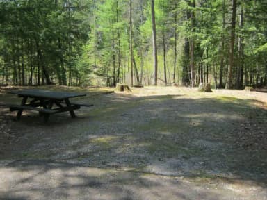 Campsite 4