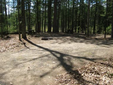 Campsite 5